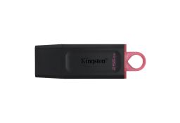 KINGSTON USB FLASH MEMORIJA 256GB DTX 3.2